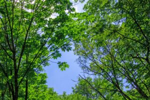 福島県内の気候・自然環境の違いを理解して失敗を防ぐ